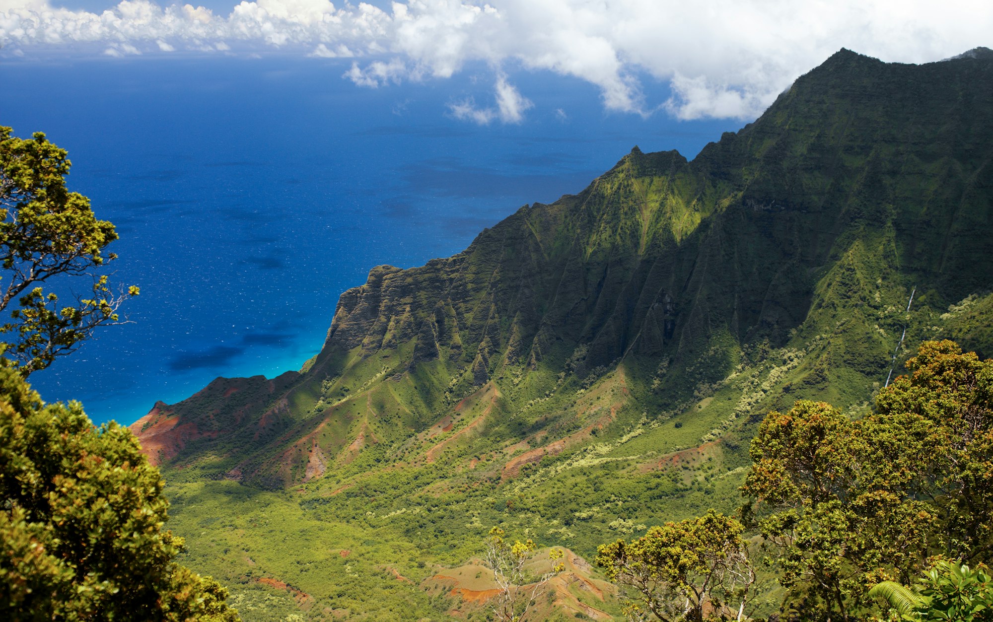 Honoring Malama Aina and Kuleana for a Greener Future